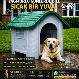 Dış Mekan Köpek Kulübesi – Dayanıklı Plastik Köpek Evi (71x66x85 cm)